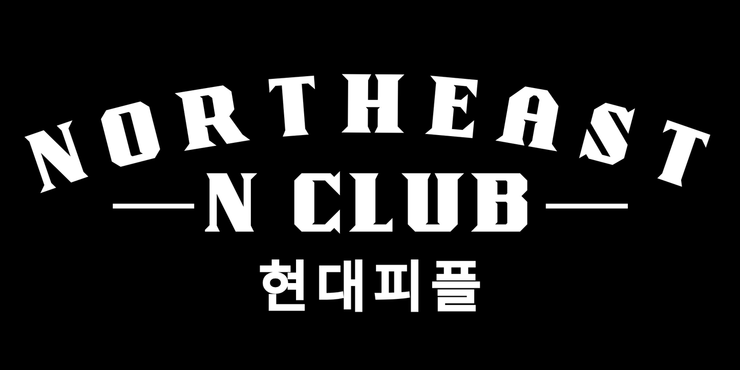Northeast N Club "Hyundai People" Rear Windshield Banner